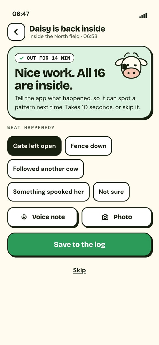 Daisy is back inside, with reasons to choose from, voice note, photo and save