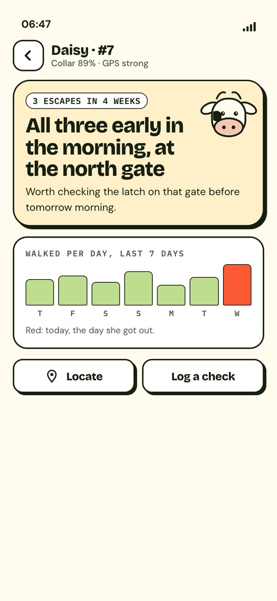 Daisy's profile: 3 escapes in 4 weeks, all early in the morning at the north gate